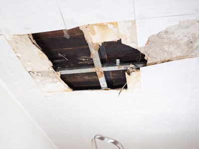 About water damage cleanup - ceiling water damage repair experts in Tampa